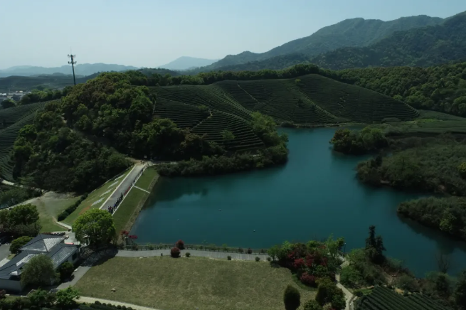 建設(shè)智慧生態(tài)茶園，托普云農(nóng)為西湖龍井茶“保駕護(hù)航”