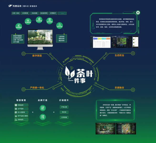 “數(shù)字”賦能茶產(chǎn)業(yè)，“茶葉一件事”續(xù)寫中國茶發(fā)展新模式
